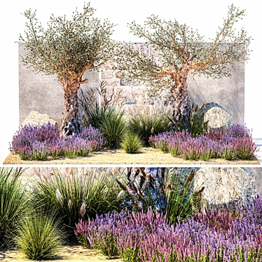 Lavender & Olive Collection 3D model image 1 