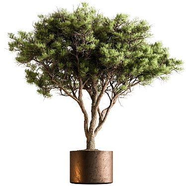 Lush Tree in Pot 3D model image 1 