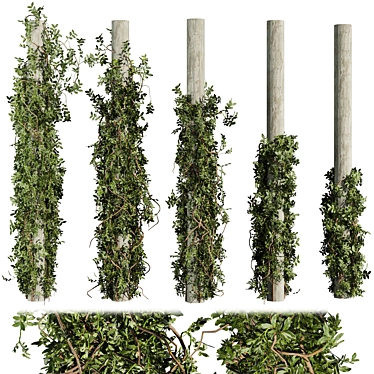 Textured Column Ivy Bush Outdoor 3D model image 1 