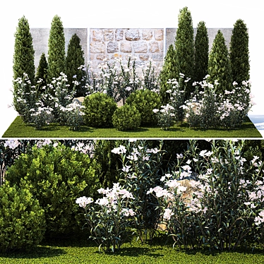 White Flowering Plants Collection 3D model image 1 