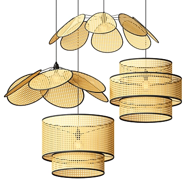 Handmade Rattan Pendant Lamps 3D model image 1 