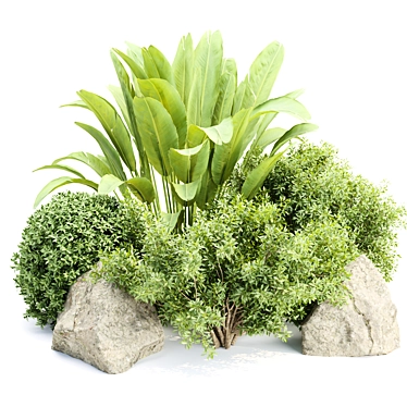 Outdoor Plants Collection Vol.233 3D model image 1 