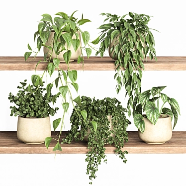 Plant Shelf Display Unit 3D model image 1 