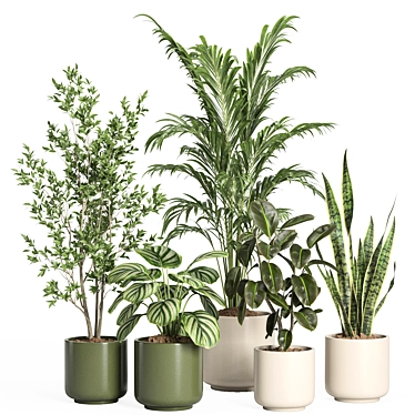 Modern Indoor Plant Set with Ceramic Pot 3D model image 1 