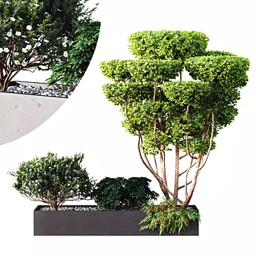 Outdoor Garden Tree Bush Models 3D model image 1 