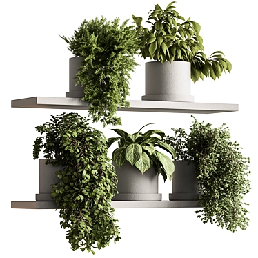 Hanging Indoor Plant 598 3D model image 1 