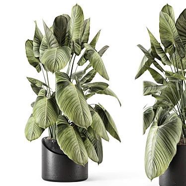 Handmade Stone Pot Indoor Plants 3D model image 1 