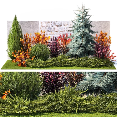 Collection of Large Plants: Thuja, Cypress, Blue Spruce 3D model image 1 