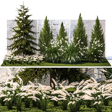 Large Specimen Plant Collection 3D model image 1 