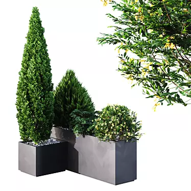 Outdoor Tree Garden Box Set 3D model image 1 