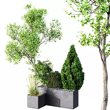 Tree and Bush Garden Box 3D model image 1 