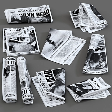  Assorted Newspaper Collection 3D model image 1 