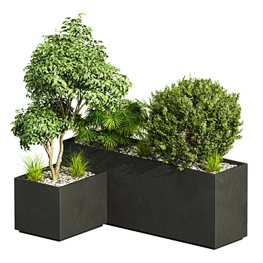 Tree and bush garden box outdoor 01