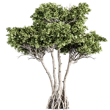 Forest Charm Tree Set 238 3D model image 1 