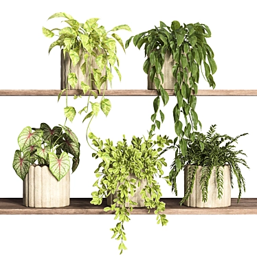 Modern Style Plant Shelf Display 3D model image 1 