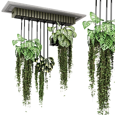  Metal Box Hanging Plant Set 3D model image 1 