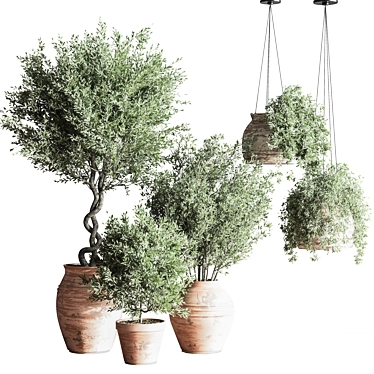 Elegant Indoor Plant Set 3D model image 1 