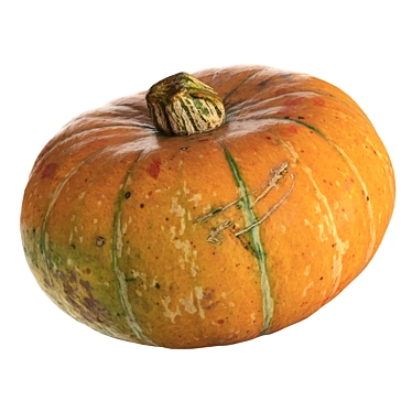 Round Pumpkin Duo 3D Model 3D model image 1 