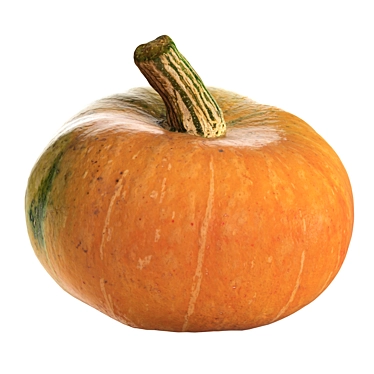 Round Pumpkin 3D Model 3D model image 1 