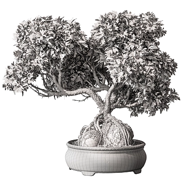 Zen Bonsai Plant 597 3D model image 1 