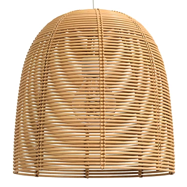 Vivi Large Rattan Pendant Lamp 3D model image 1 