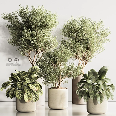 Modern Indoor Plant Set 121 3D model image 1 