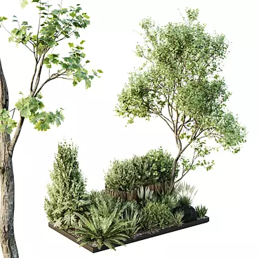 Outdoor 3D Tree Bush Garden 3D model image 1 