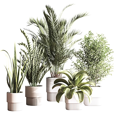 Modern Indoor Plant Set 3D 3D model image 1 