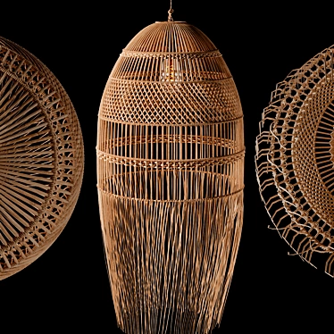 Natural Rattan Pendant Light 3D model image 1 