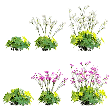 Advanced 3D Plant Models Collection 3D model image 1 