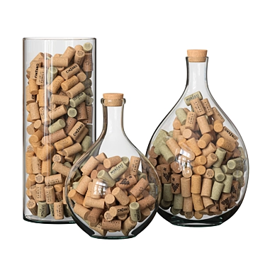 Wine Cork Glass Vessels 3D model image 1 