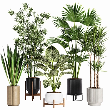 Set of 24 Indoor Plants 3D model image 1 