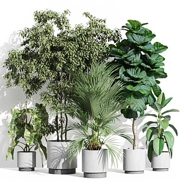 Luxury Plants Collection 1002 3D model image 1 