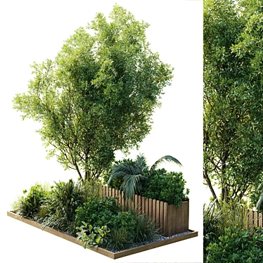 Outdoor Plants Set 183 3D model image 1 