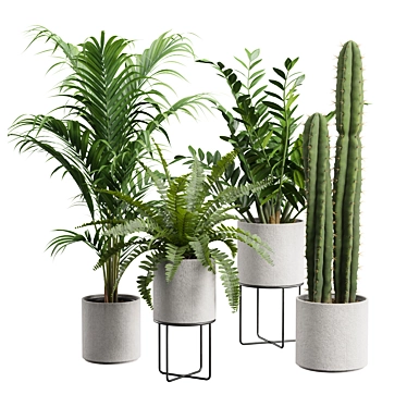 Exotic Indoor Plant Pack 56 3D model image 1 