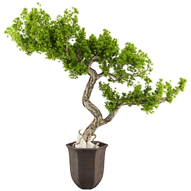 Max 2015 Bonsai Set UV Unwrap 3D model image 1 