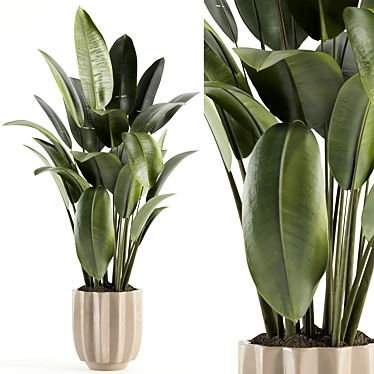 Model Plant Set 64: 3D Render 3D model image 1 