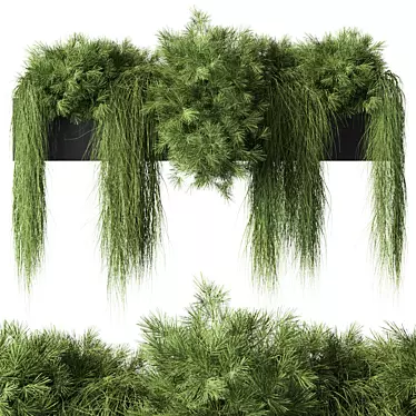 All-Weather Hanging Plant Set 40 3D model image 1 