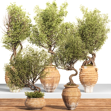 Modern Indoor Plant Set 3D 3D model image 1 