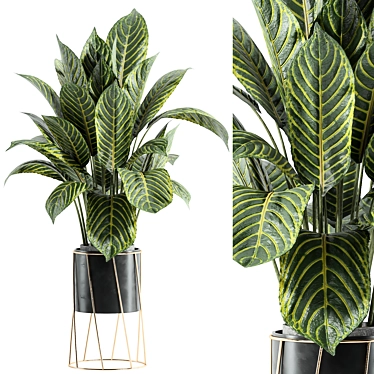 Custom Indoor Plant Set 3D 3D model image 1 