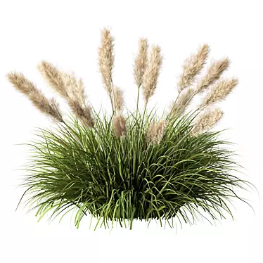 Wild Grassland Pampas No.12 3D model image 1 