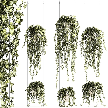 Hedera Ivy Collection Hanging Vertical Garden 3D model image 1 