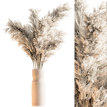 Pampas Dry Plants 106 3D model image 1 