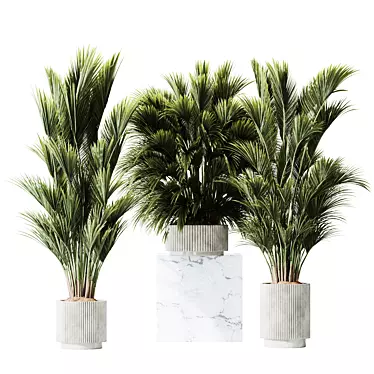 Tropical Palm Set with Planter 3D model image 1 