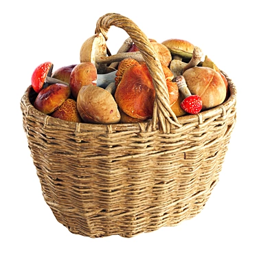 Basket with mushrooms