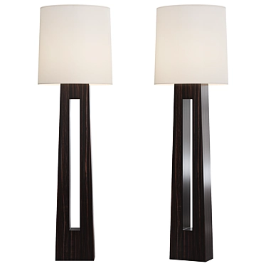 Sculptural Macassar Ebony Floor Lamp 3D model image 1 