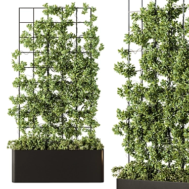 Botanical Room Divider - Set 99 3D model image 1 