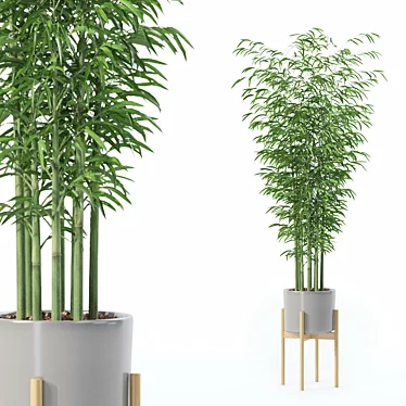 Modern Bamboo Plant in Pot 3D model image 1 