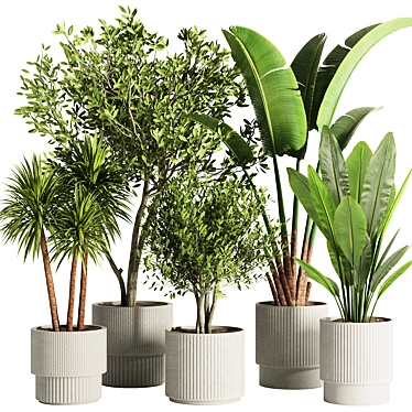 Modern Indoor Plant Set 2016 3D model image 1 