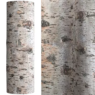 Cherry Wood Bark Textured Material 3D model image 1 